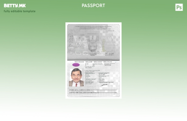 Модерен стил белгиски пасош PSD шаблон, верзија (сегашен) шаблон